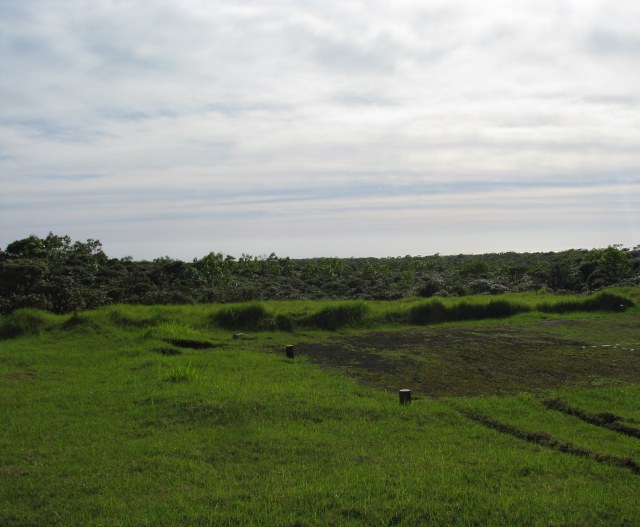 Ka'ala plateau