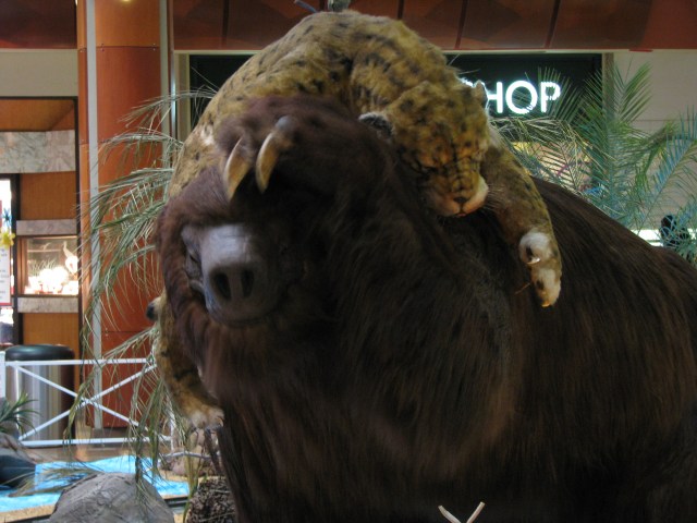 Smilodon & Megatherium