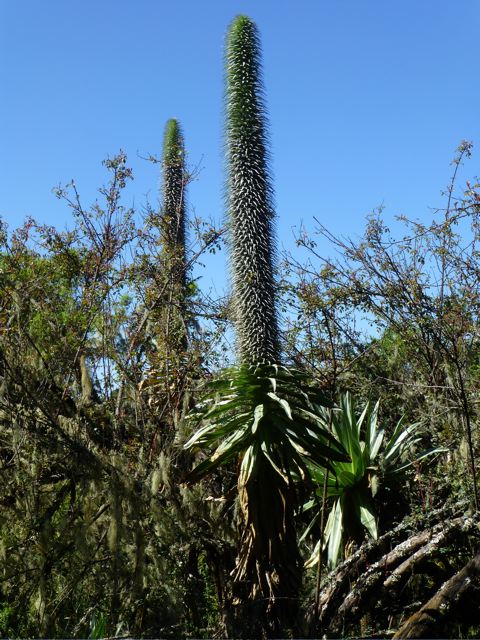 Courtesy of Cindy Waddington