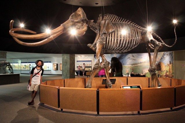Columbian Mammoth